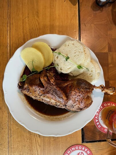 Gastrovýlet České Budějovice-2024