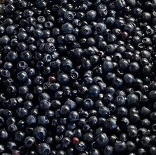 Nejem o  nakupování lesních borůvek